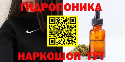 дмт Волжский