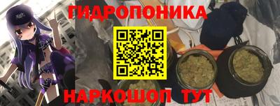 PSILOCYBIN Волжск