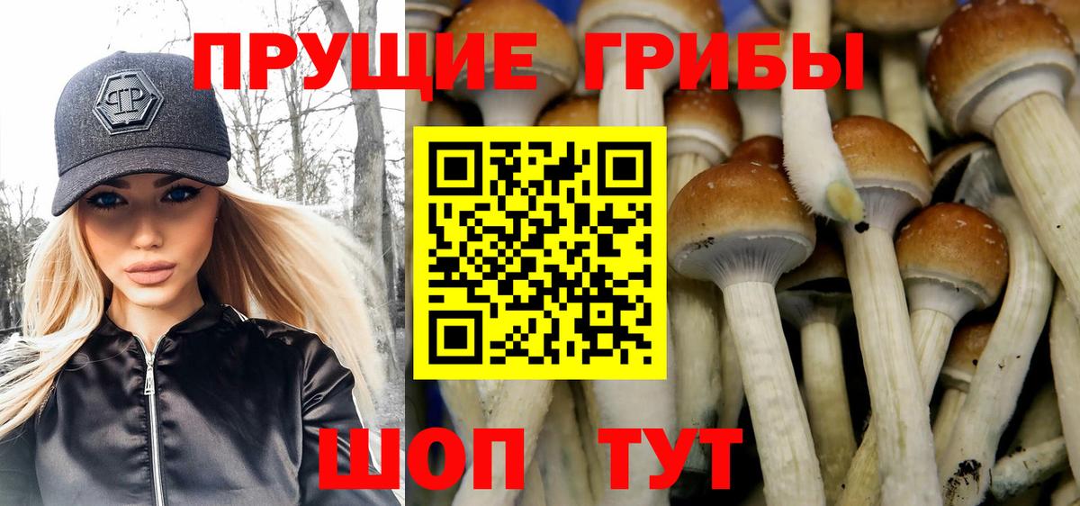 Псилоцибиновые грибы мухоморы Переславль-Залесский