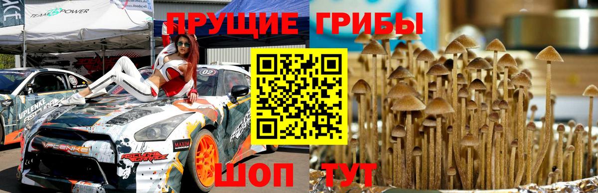 Галлюциногенные грибы MAGIC MUSHROOMS  Галлюциногенные грибы Magic Shrooms  Вход с VPN  магазин продажи   Переславль-Залесский 