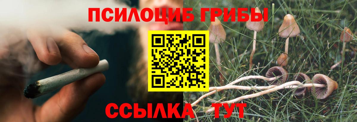 Галлюциногенные грибы Magic Shrooms Переславль-Залесский