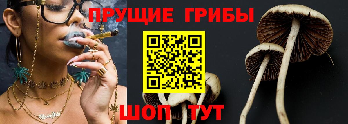 Галлюциногенные грибы прущие грибы  Переславль-Залесский 
